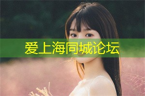 上海各区新茶工作室：夜上海的魅力无限：探寻城市夜生活新时尚