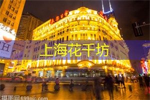 上海新茶工作室：发现上海新茶工作室的秘密基地：一场激发五感的茶叶探险！