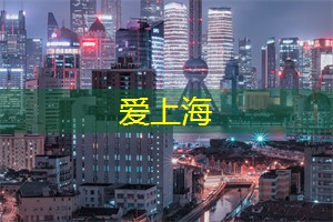 爱上海：上海后花园的创意手工艺品展：探索艺术与技巧的完美结合