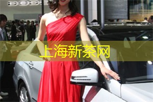 <strong>爱上海官网</strong>：身临其境的水舞秀：视觉盛宴