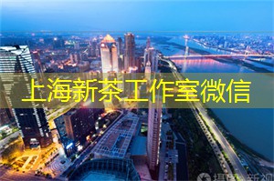 <strong>上海娱乐网</strong>：看得见的未来：在上海的科技展